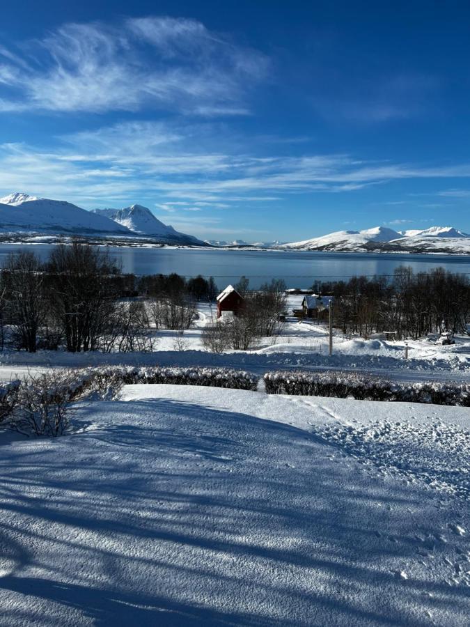 Liten Kjellerleilighet. Landlig Rolig Omrade. 特罗姆瑟 外观 照片
